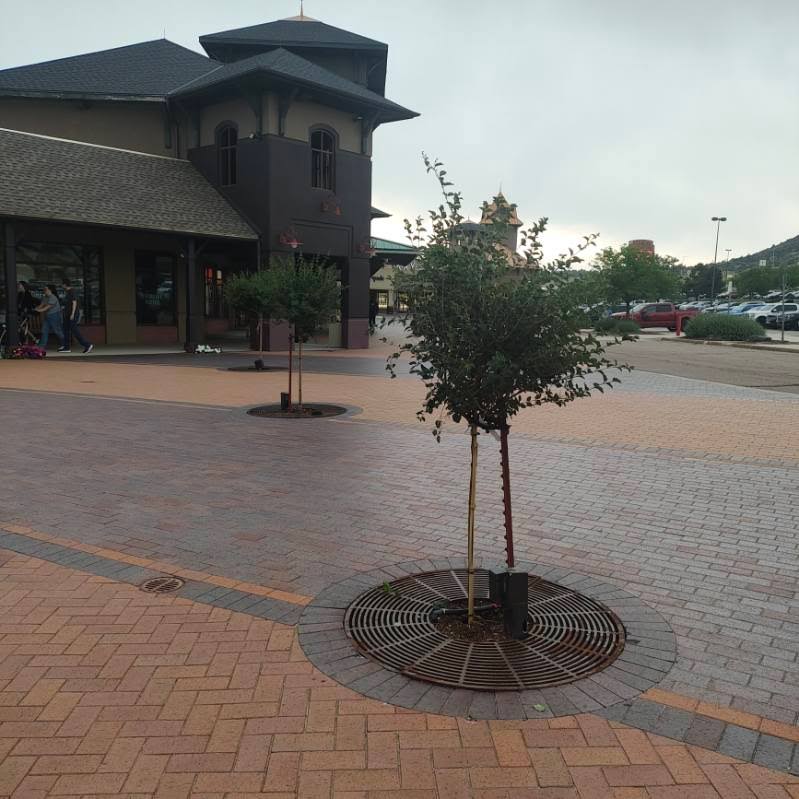 BAM Sprinklers landscaping project Denver 9